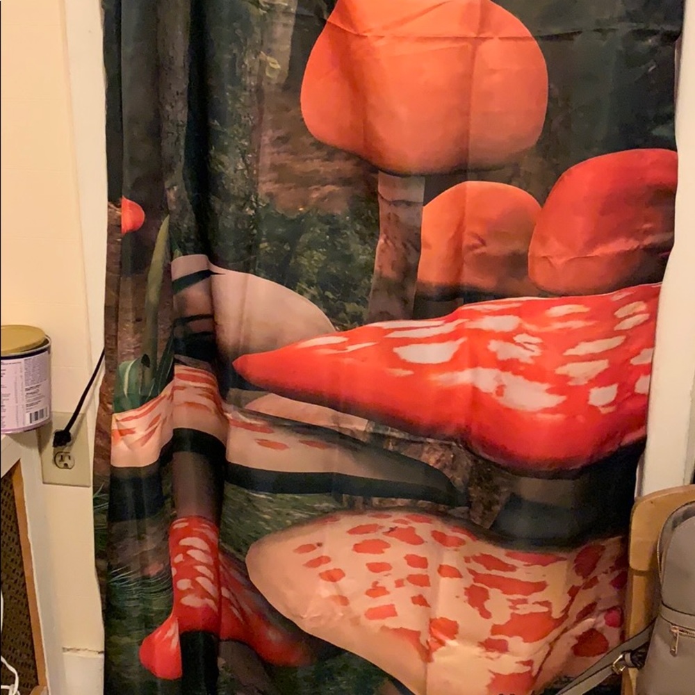Window curtains
